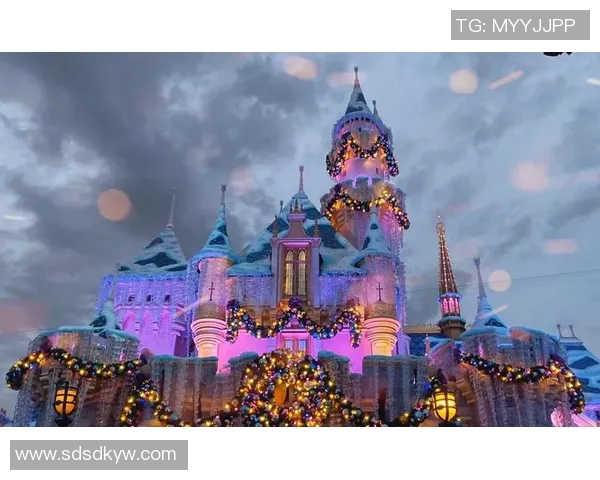 休士顿迪士尼与洛杉矶幻想乐园的精彩对决与魅力探秘